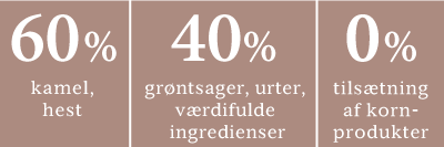rnw dog adult formelstoerer desert sands trocken da