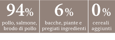 rnw cat formel true country senior it