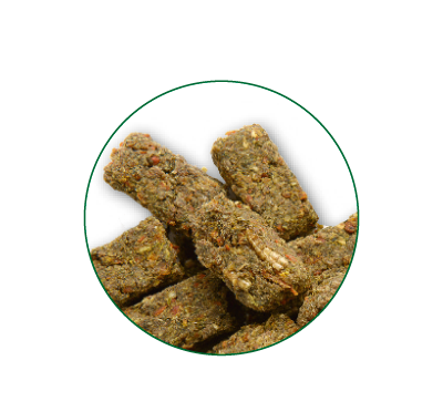 rnn snack protein